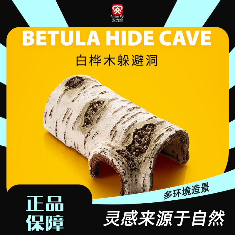 爬宠蜥蜴躲避洞穴真白桦木
