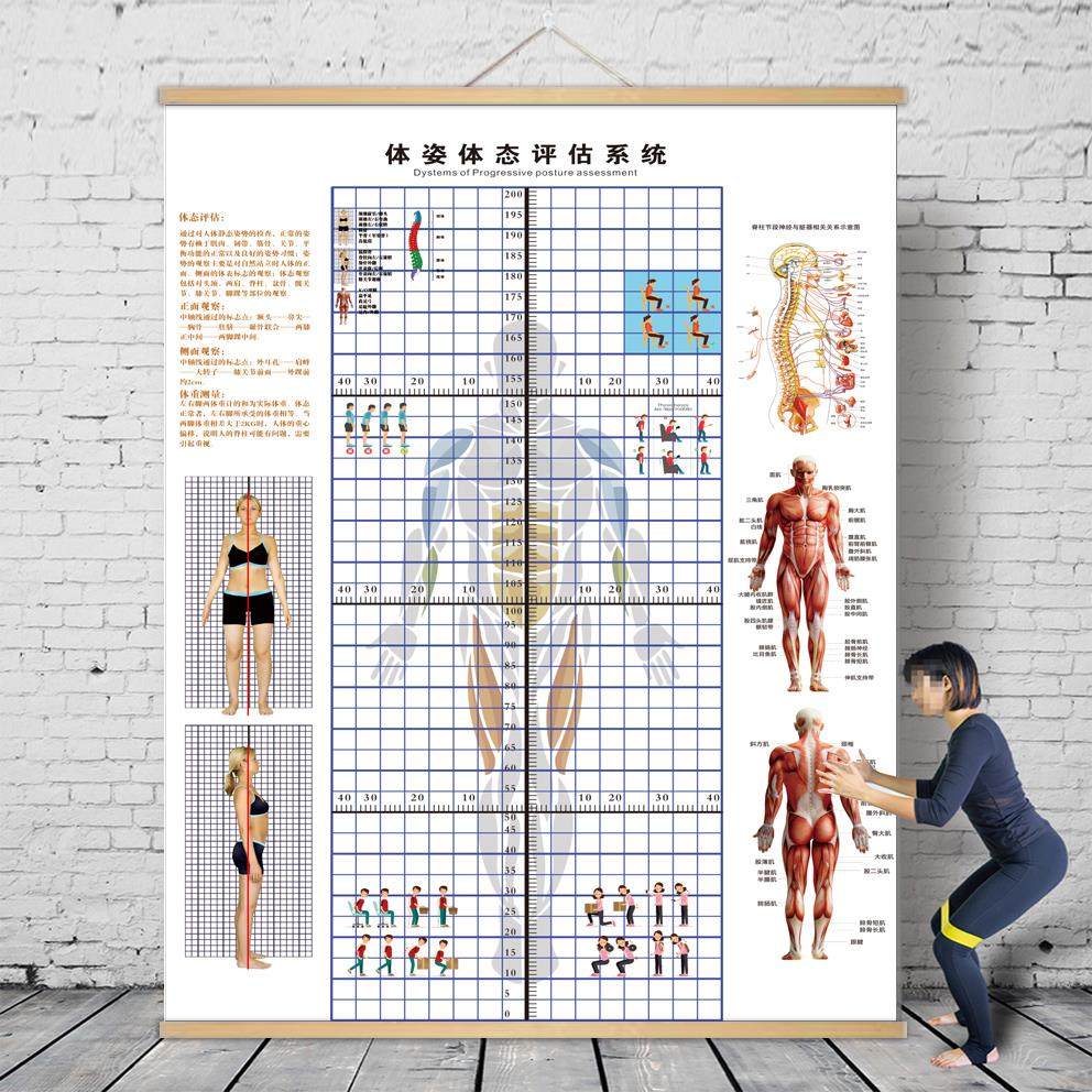 体态评估图健身房体测表瑜伽私教站姿形体脊椎修覆身体装饰挂画