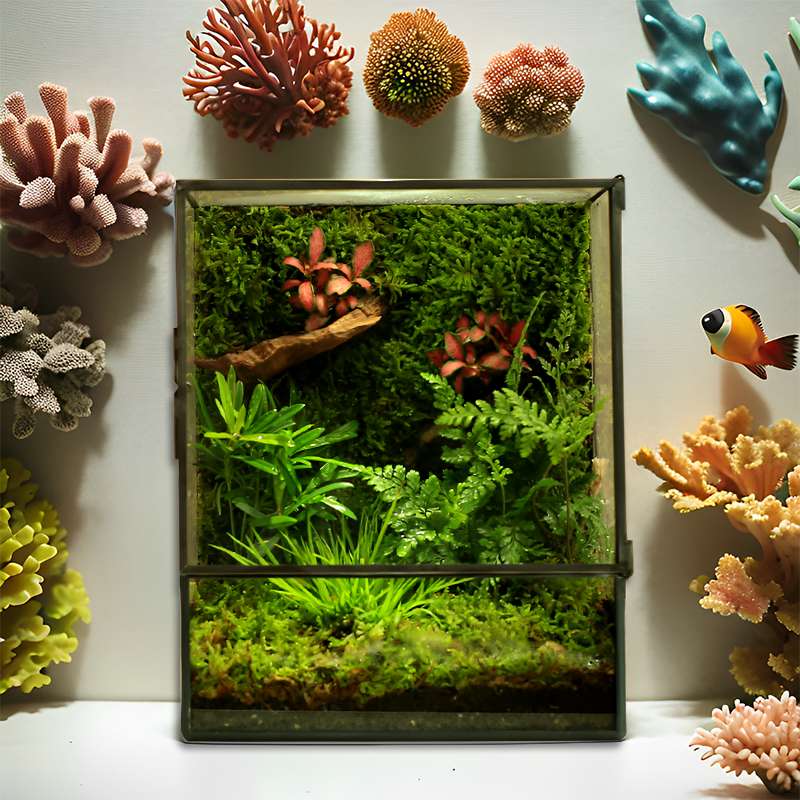 桌面苔藓微景观室内植物造景创意盆栽盆景生态雨林缸森林成品摆件