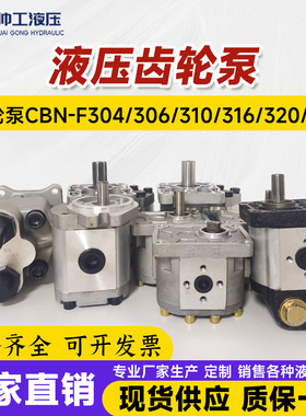 齿轮泵CBNF304/306/310/316/320/325液压泵配件大全直销液压齿轮
