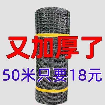 防护网养鸡网围栏鸭鹅玉米果园养鸡塑料网网围栏鸡网养殖围栏。