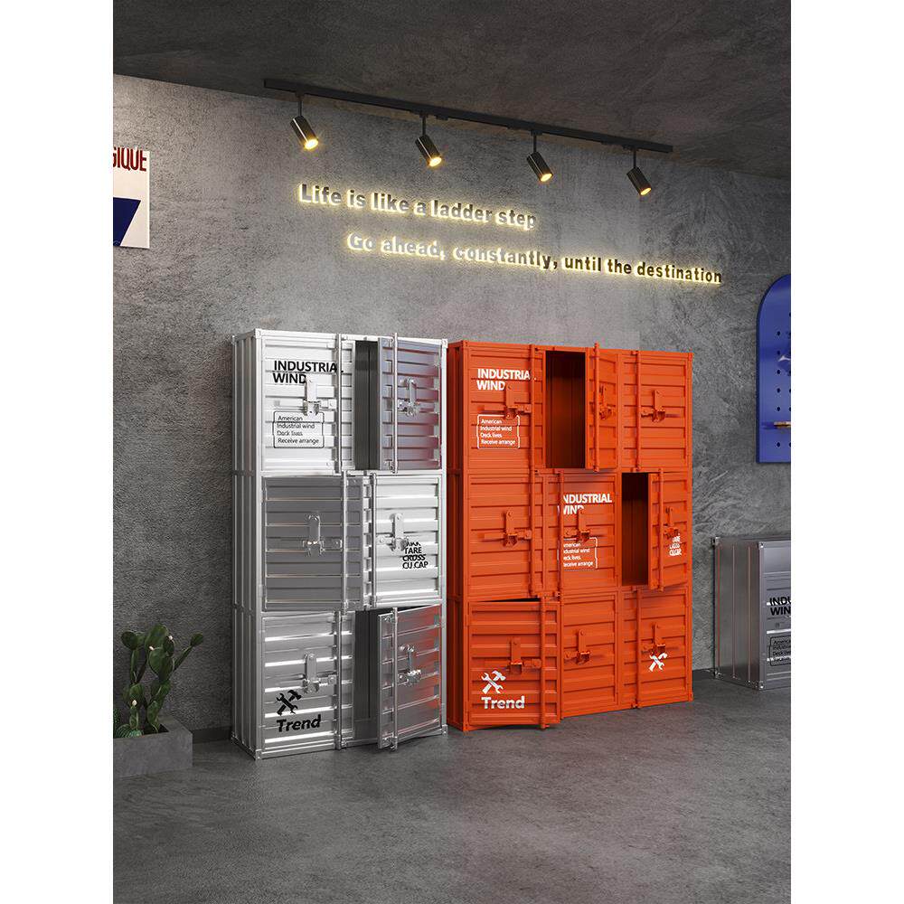 收纳柜钢制现代简约置物柜定制健身房更衣柜工业风储物柜浴室员工