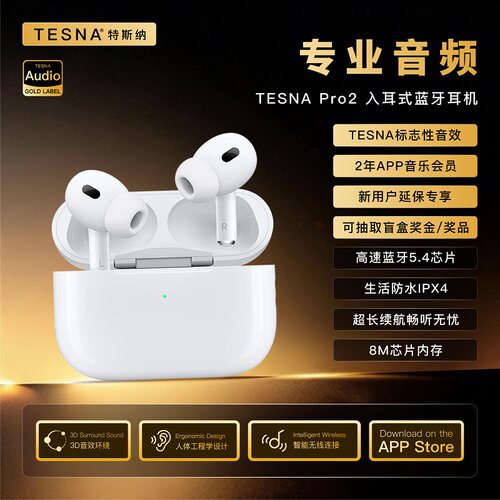 【金标版】Tesna Pro2主动降噪全入耳式无线蓝牙耳机