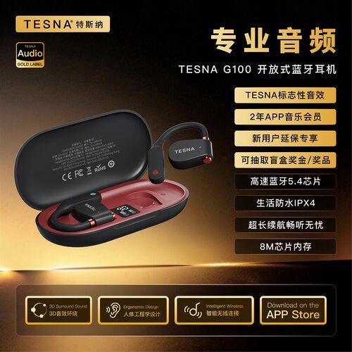 TesnaG100耳挂式蓝牙耳机