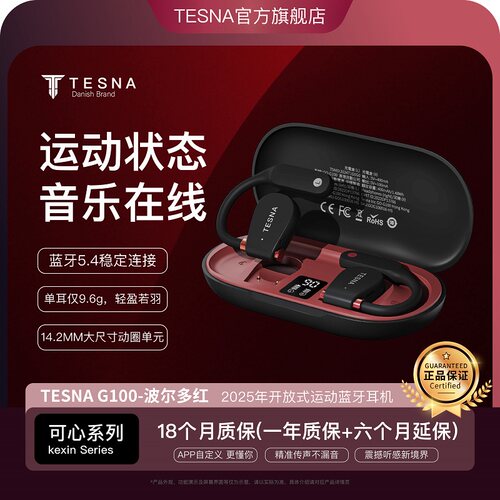 Tesna新品耳挂式HIFI音蓝牙耳机