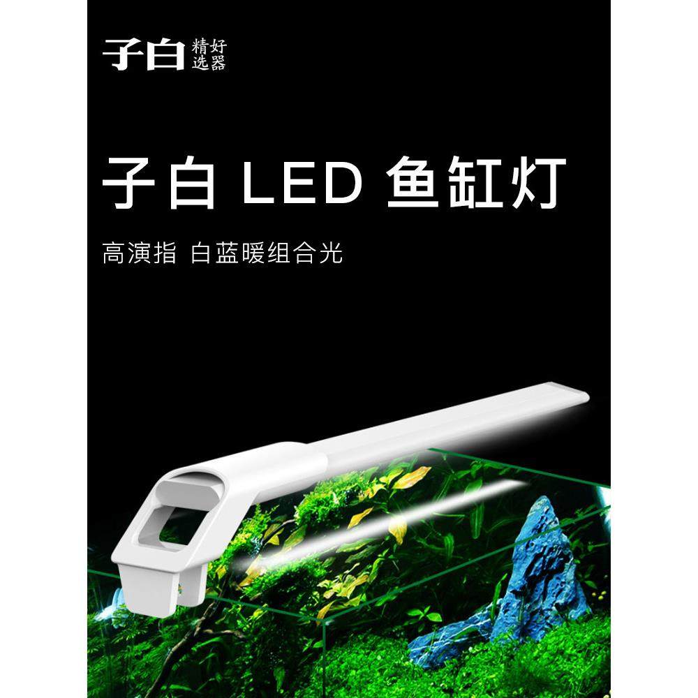 子白鱼缸灯led灯防水水族箱照明灯管全光谱水草灯小型潜水灯草缸,宠物/宠物食品及用品,照明器材,淘宝优惠券,粉丝福利购,淘宝优惠卷