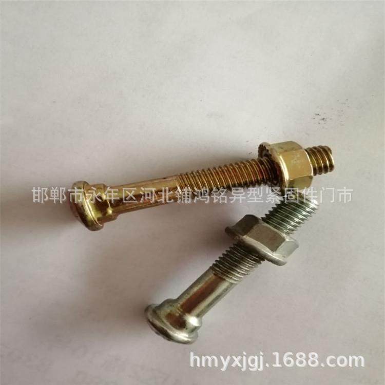 现货供应道夹板鱼尾螺栓 鱼尾板螺丝 冷镦镀锌鱼尾丝,鲜花速递/花卉仿真/绿植园艺,割草机/草坪机,淘宝优惠券,粉丝福利购,淘宝优惠卷