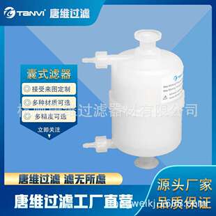 高化学兼容性囊式滤芯 耐强酸碱溶剂 光刻胶电子化学品过滤专用