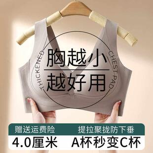 平胸专用内衣女小胸聚拢显大收副乳无钢圈4cm加厚文胸外扩漫画 画