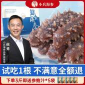 小兵海参即食海参大连辽参鲜活海参开袋即食冷冻刺参独立包装 500G