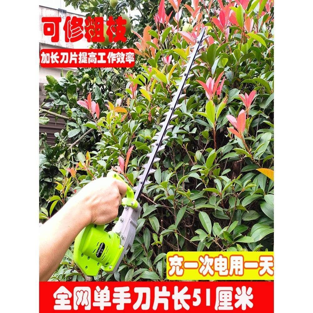 德国原装进口精选加长刀片单手电动绿篱修剪机充电式锂电园林绿化,鲜花速递/花卉仿真/绿植园艺,割草机/草坪机,淘宝优惠券,粉丝福利购,淘宝优惠卷