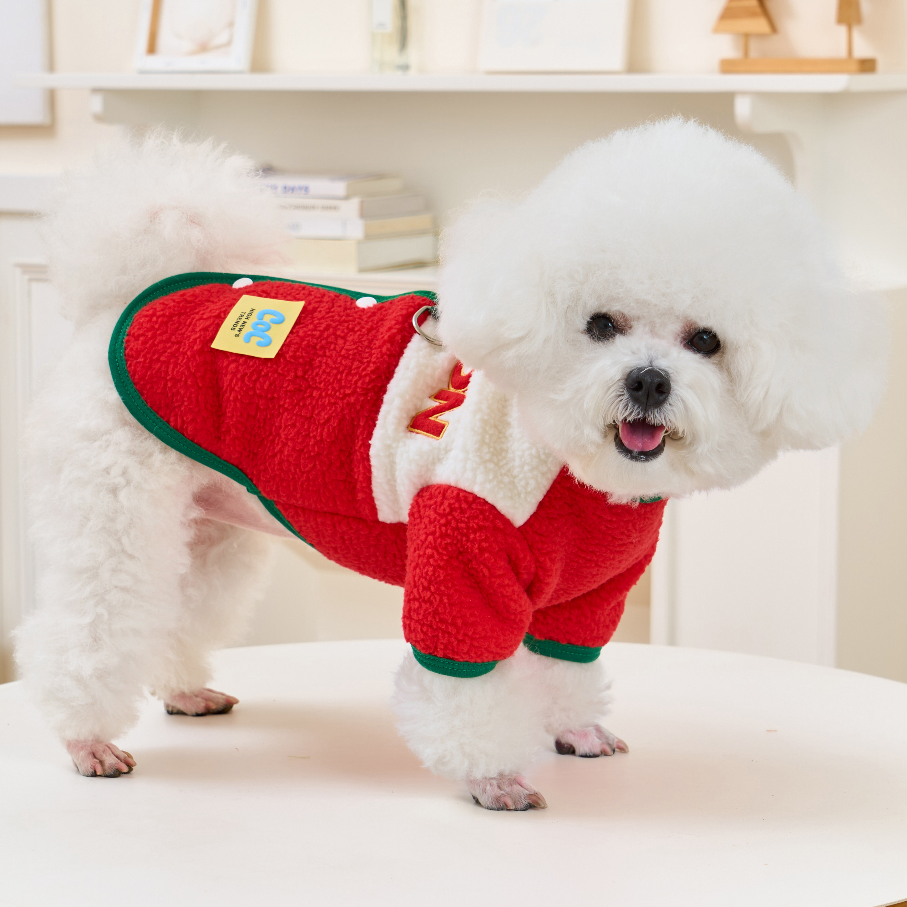 2025新款狗狗衣服秋冬季小型犬比熊泰迪幼犬可牵引羊羔绒两脚卫衣