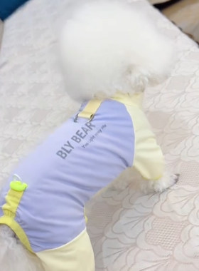 狗狗衣服春夏薄款防暑防晒衣四脚衣小型犬泰迪比熊外出冰丝凉凉衣