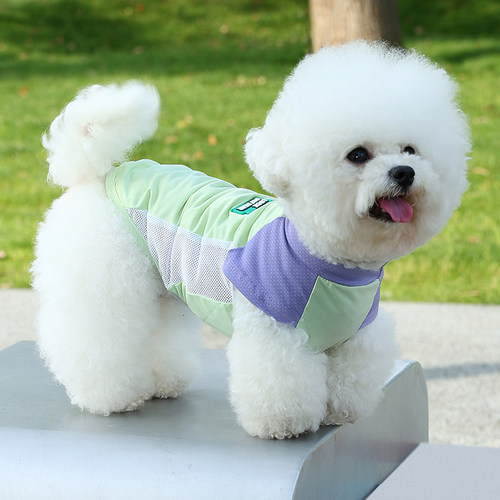 2026新款狗狗衣服春夏薄款小型犬泰迪比熊博美外出户外背心防晒衣