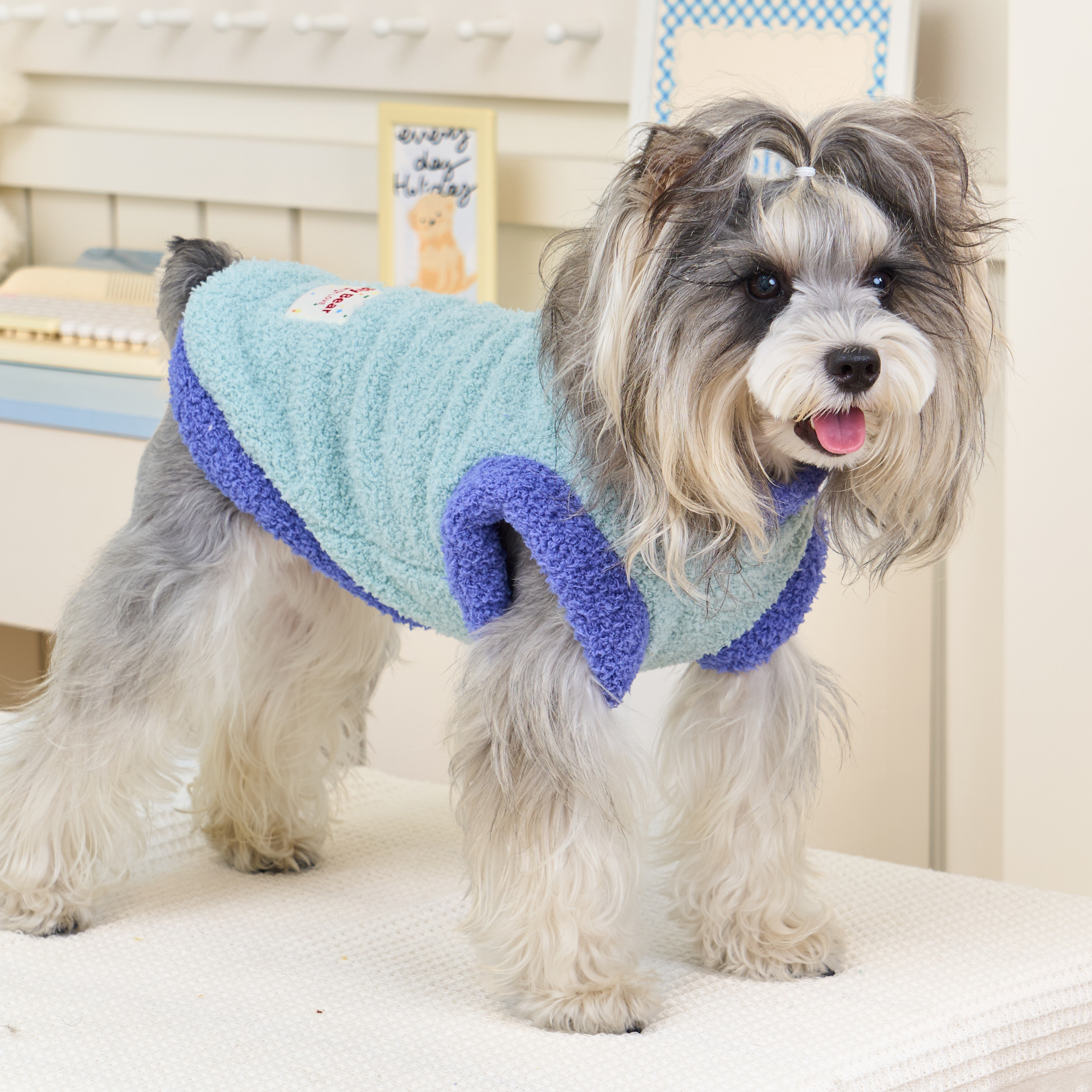 2025新款狗狗衣服秋冬薄款可牵引雪纳瑞泰迪比熊防掉毛小型犬背心