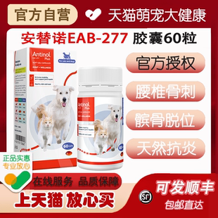 新西兰进口安它诺Antinol安替诺277安适得绿唇贻贝折耳猫宠物关节