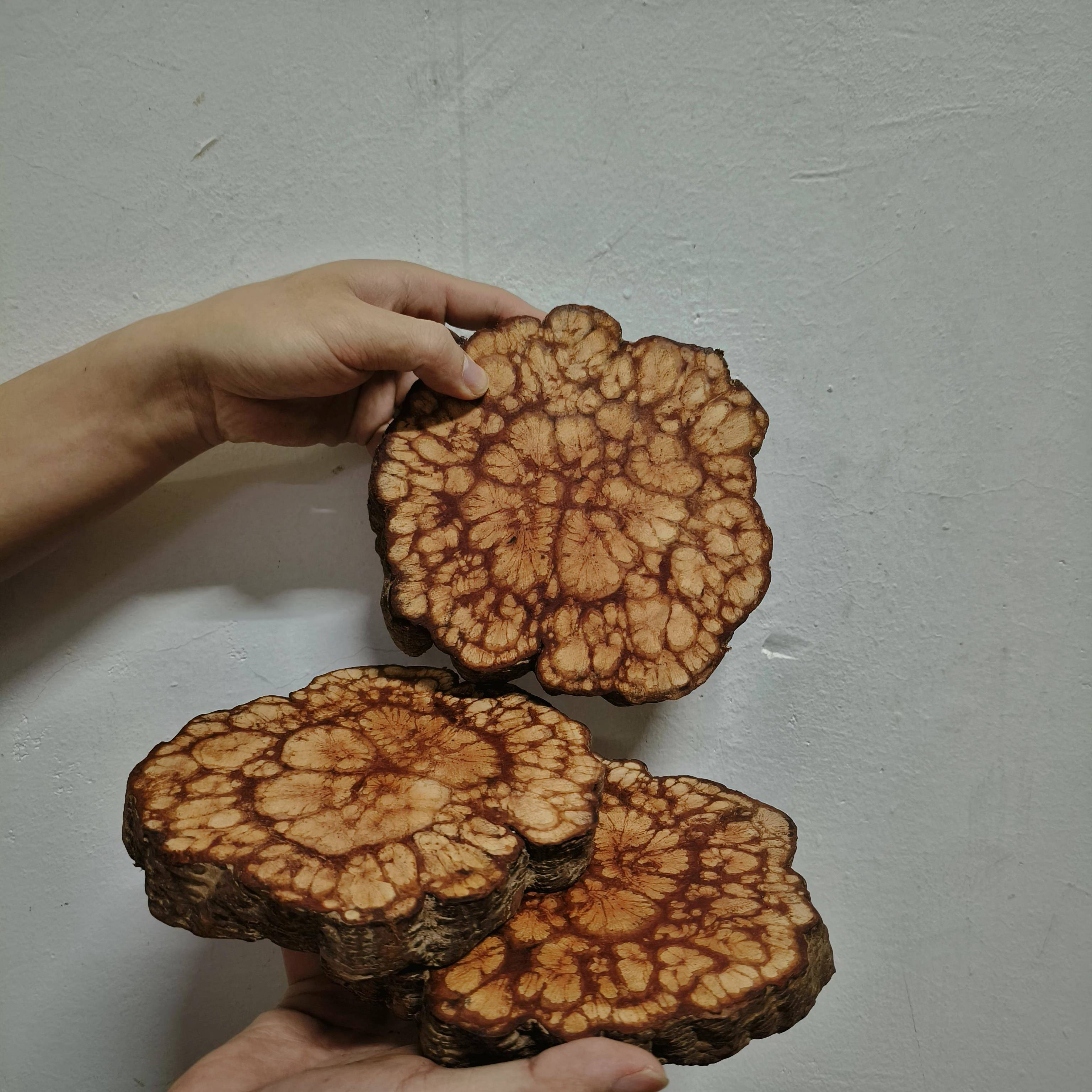 原木杯垫龙须藤根雕实木杯垫壶垫茶托杯托隔热垫自然木垫茶道包邮