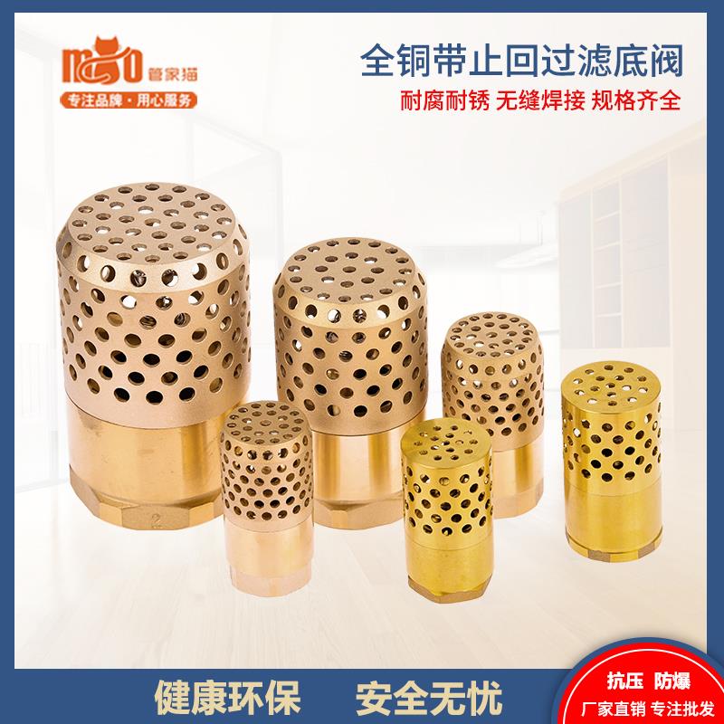 全铜水泵底阀抽水机带过滤网diy怀炉单向止回阀6分吸水机止逆阀门