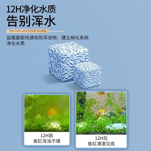 鱼缸过滤材料硝化屋陶瓷环鱼池净水石英球过滤器周转箱底滤材