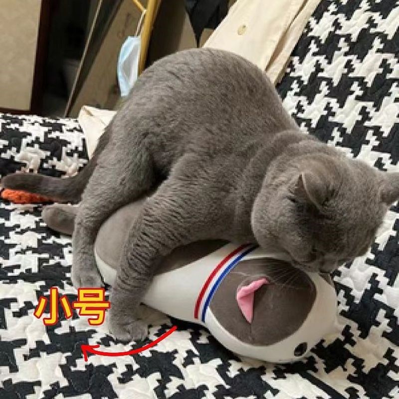 猫咪泻火玩具公猫陪伴安抚性发泄玩偶自嗨解闷宠R物用陪睡神器伴