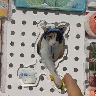 爆款开门小猫冰箱贴萝卜纸巾猫自亚克力送朋友抽象察言观色趣味