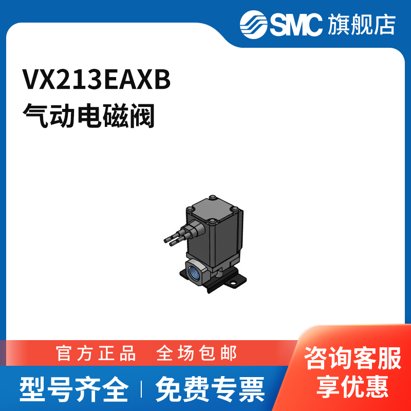 SMC官方正品VX21/22/23系列电磁阀VX213EAXB两位两通直接出线式