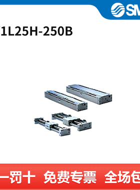 SMC CY1L系列气缸 CY1L25H-250B 个