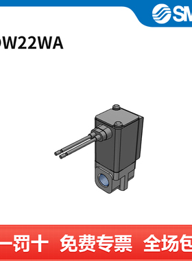 SMC 电磁阀 VDW22WA 两位两通  DC24V 个