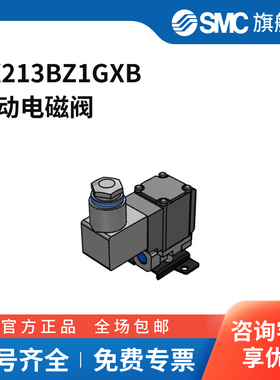 SMC官方正品二通阀VX213BZ1GXB