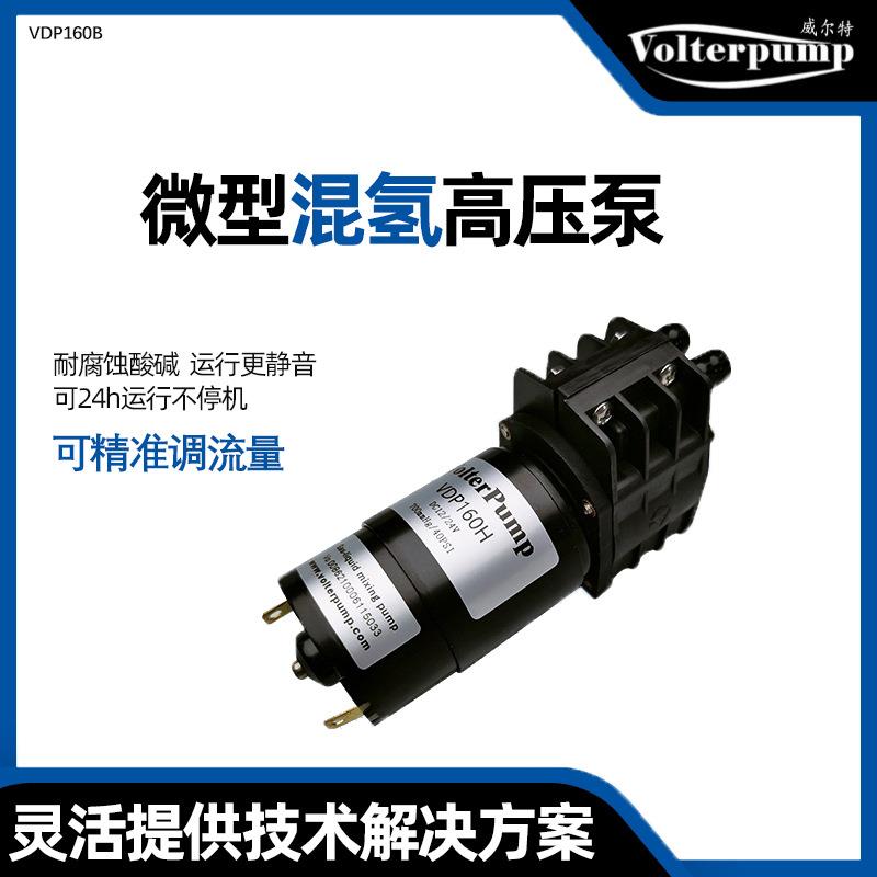 微型自吸泵食品级高精度可调速调流量混氢气液两用蠕动自吸泵