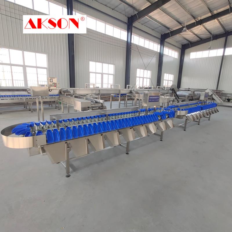 多级动态称重机检重机重量分选机0.1g精度超重或者欠重自动剔除