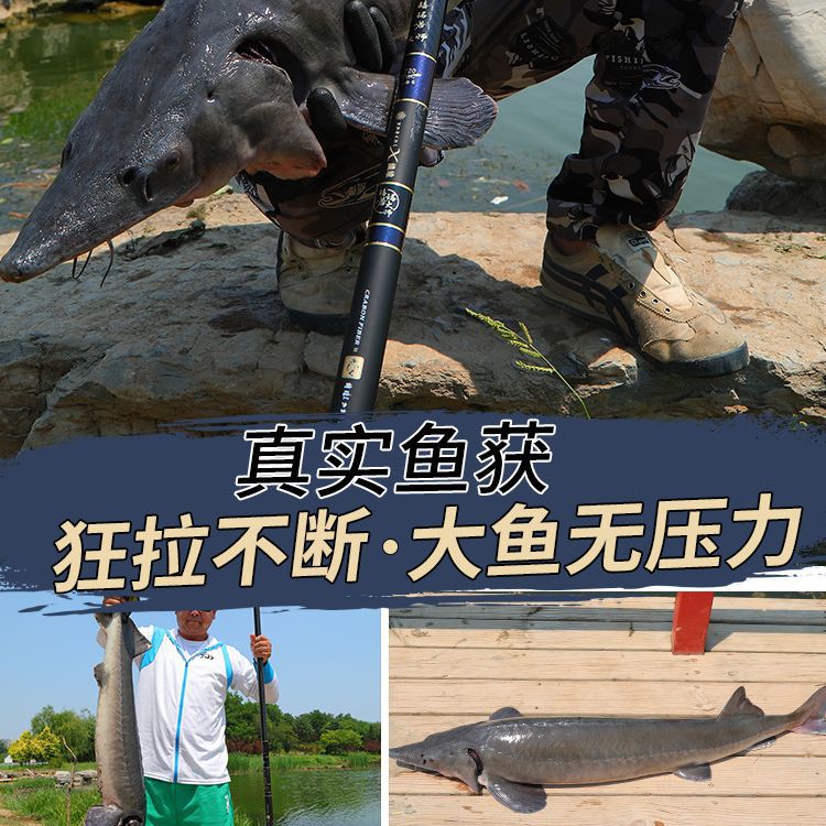 12h19调鱼竿超轻超硬巨物杆钓鱼竿轻量大物竿野钓竿鲢鳙杆黑坑竿