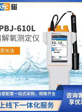 便携式溶解氧测定仪JPBJ-610L型荧光法溶解氧测量仪配手提箱