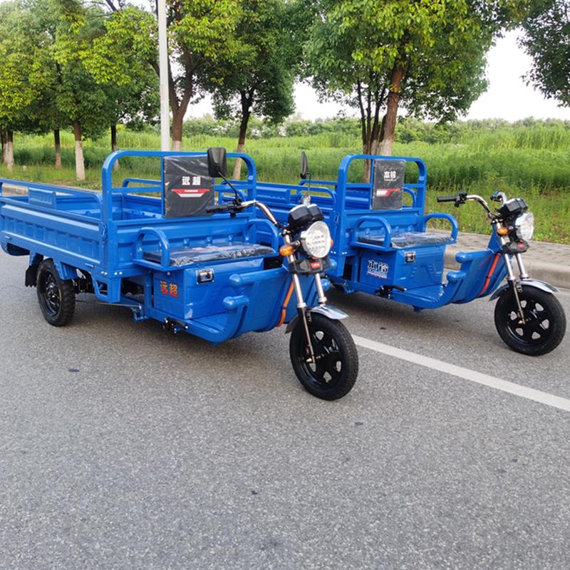 电动三轮车载重王拉货三轮电动电瓶车家用大型农用三轮车摆摊快递