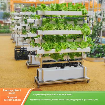 NFT无土栽培蔬菜草莓种植双面垂直架水培设备阳台水耕多层种菜机