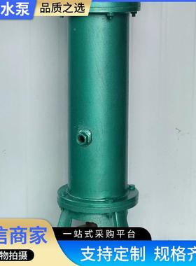 NL100AGO-1型立式泥浆泵液下泥浆泵 15W1660立方铸 K铁立式泥浆泵