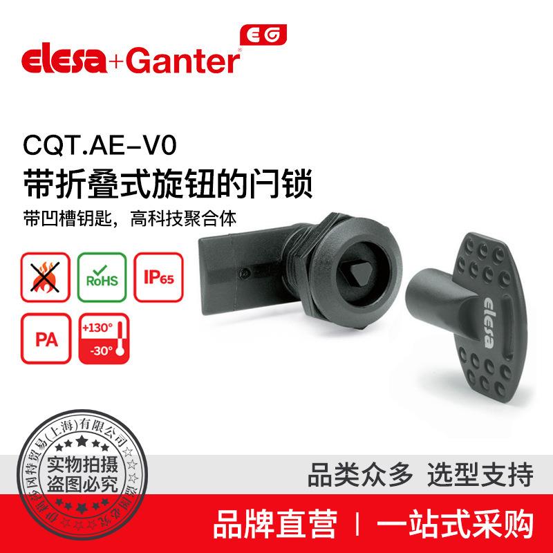 Elesa Ganter伊莉莎冈特 CQT.AE-V0 带凹槽高科技聚合体旋钮钥匙