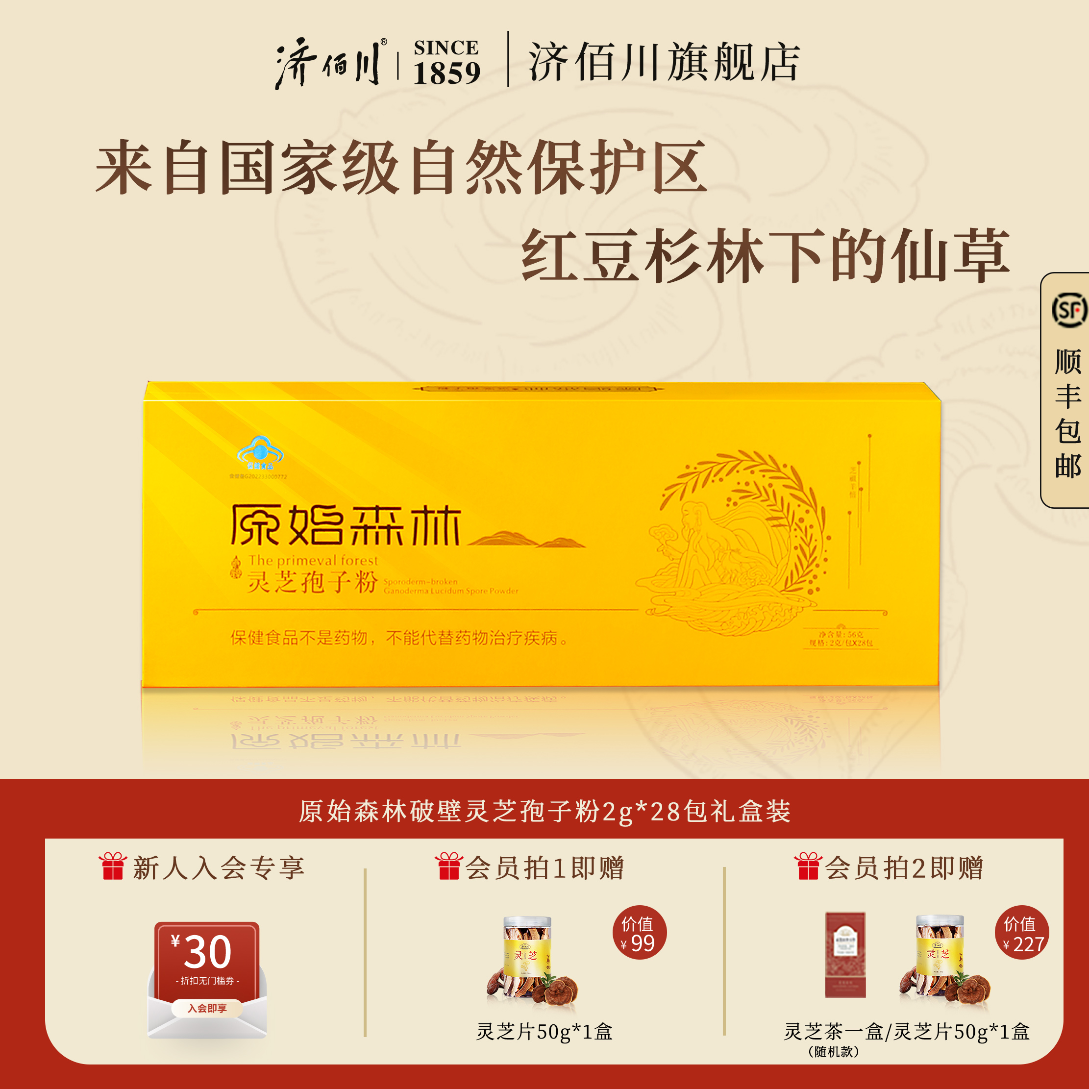 红豆杉林下野化种植增强免疫力