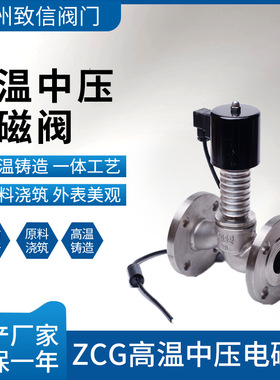高温中压电磁阀 ZCG-16C/P 铸钢 不锈钢 高温蒸汽电磁阀 DN