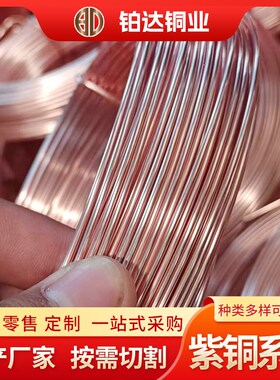 t2紫铜丝紫g铜线厂家现货供应 轴装光亮紫铜扁线C1100裸铜丝