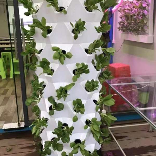 菠萝塔无土栽培霧培设施家庭 大棚 阳台蔬菜种植设备立体种菜