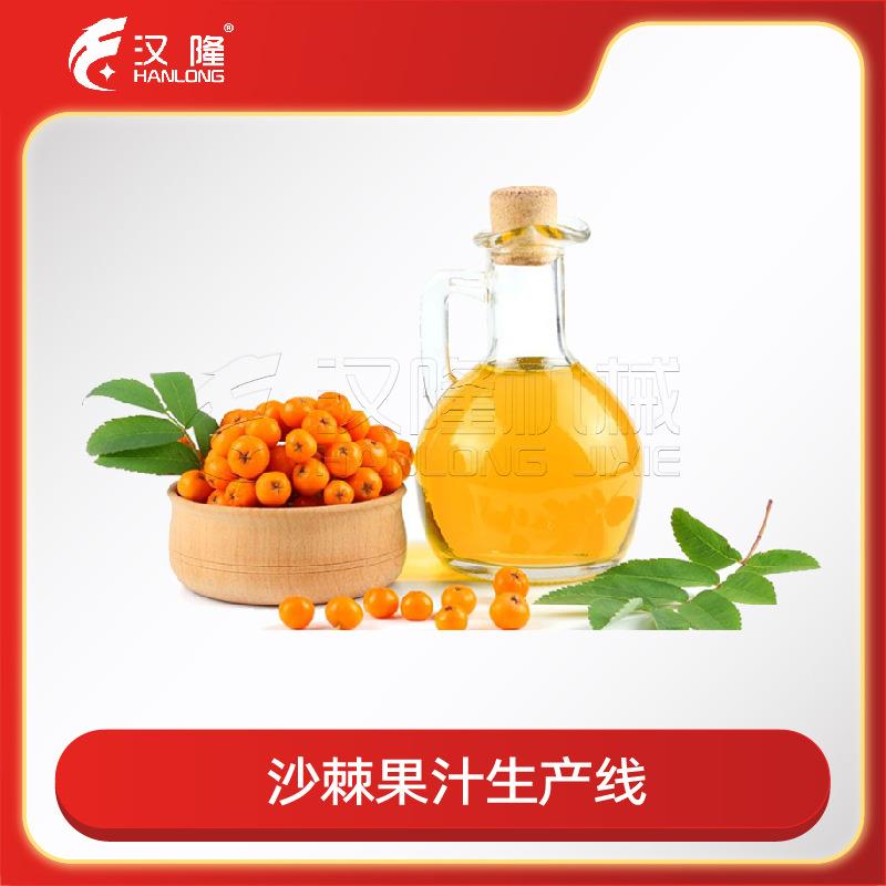 成套设备沙棘果原汁清汁浓缩汁果酱沙棘果汁生产线破碎榨汁打浆