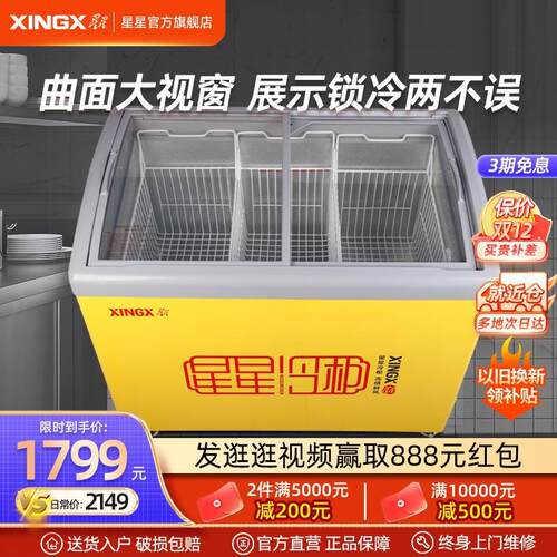 冰柜商用大容量冷藏柜保鲜冷冻冷藏展示柜雪糕柜SD/SC-246YE