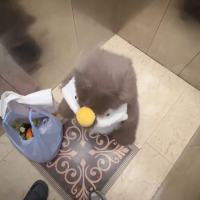 2025新款男女童冬款毛绒可爱宝圆头小企鹅草草冬季保暖外套