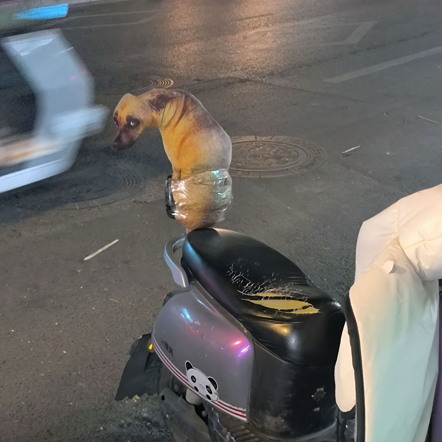 抽象后座单身狗送男友礼物创意搞怪解压玩具情人节恶搞狗狗玩偶