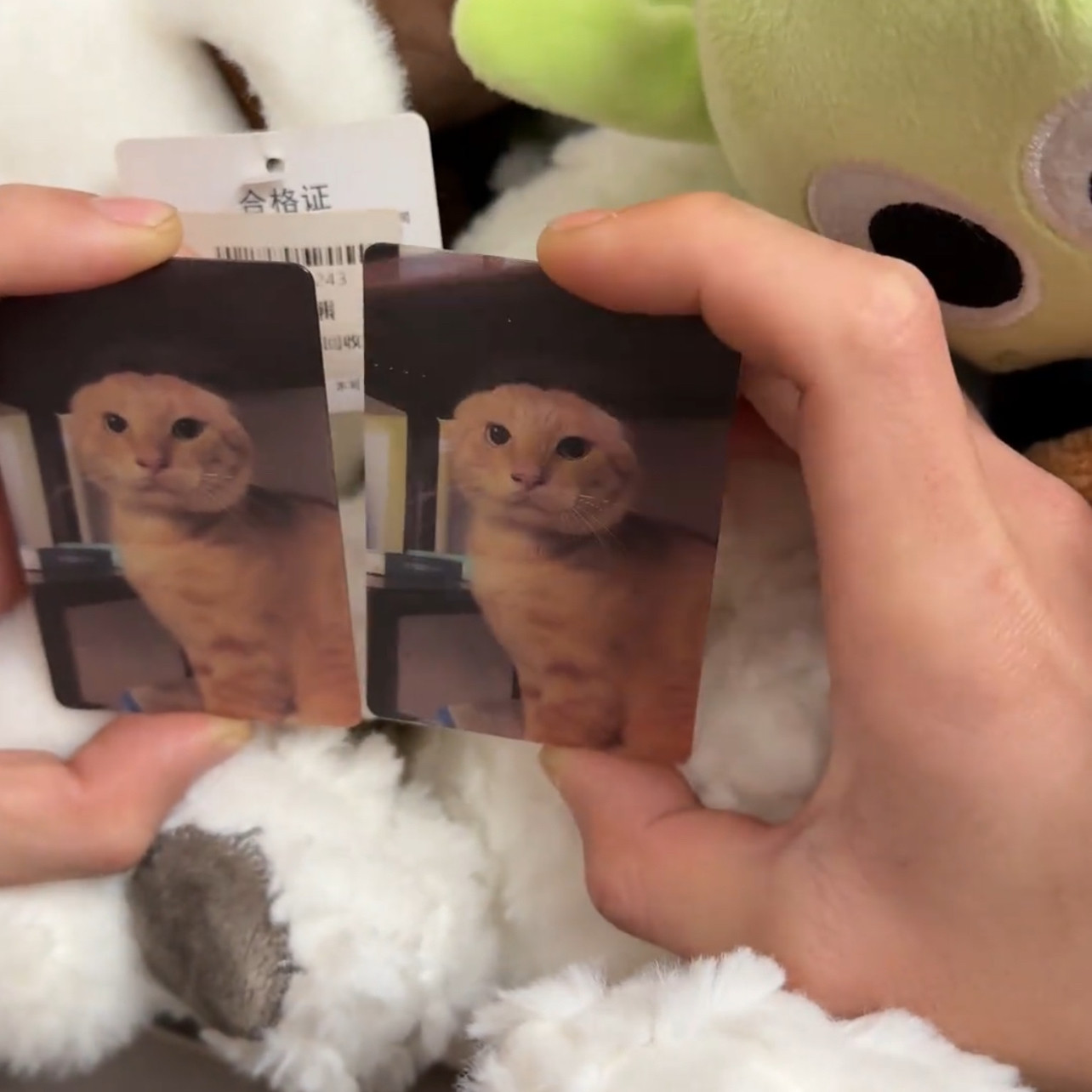 可爱抽象圆头西部菱斑响尾蛇小卡新款耄耋猫光栅卡可变换明信片卡,模玩/动漫/周边/娃圈三坑/桌游,收藏卡牌/卡片,淘宝优惠券,粉丝福利购,淘宝优惠卷