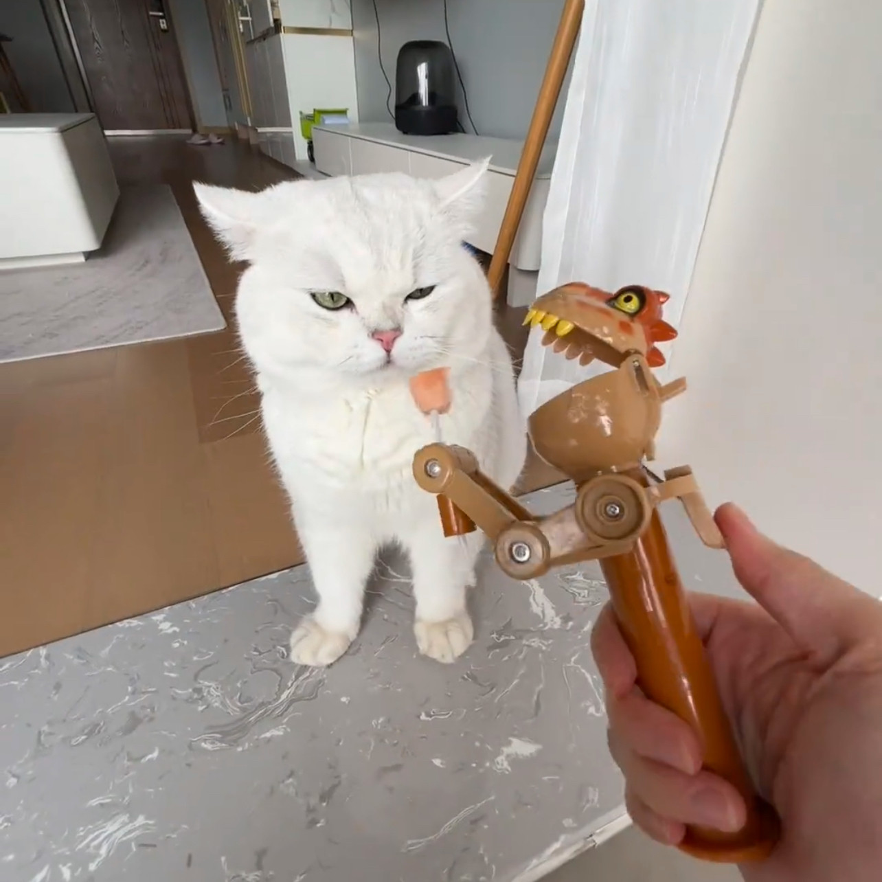 吃糖创意糖果逗猫玩具吃糖神器新款2026可爱恐龙机器人棒棒糖
