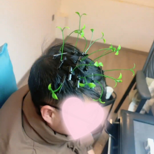 过年游戏道具卖萌神器搞怪发夹小草发夹头上长草发卡装饰可爱头顶