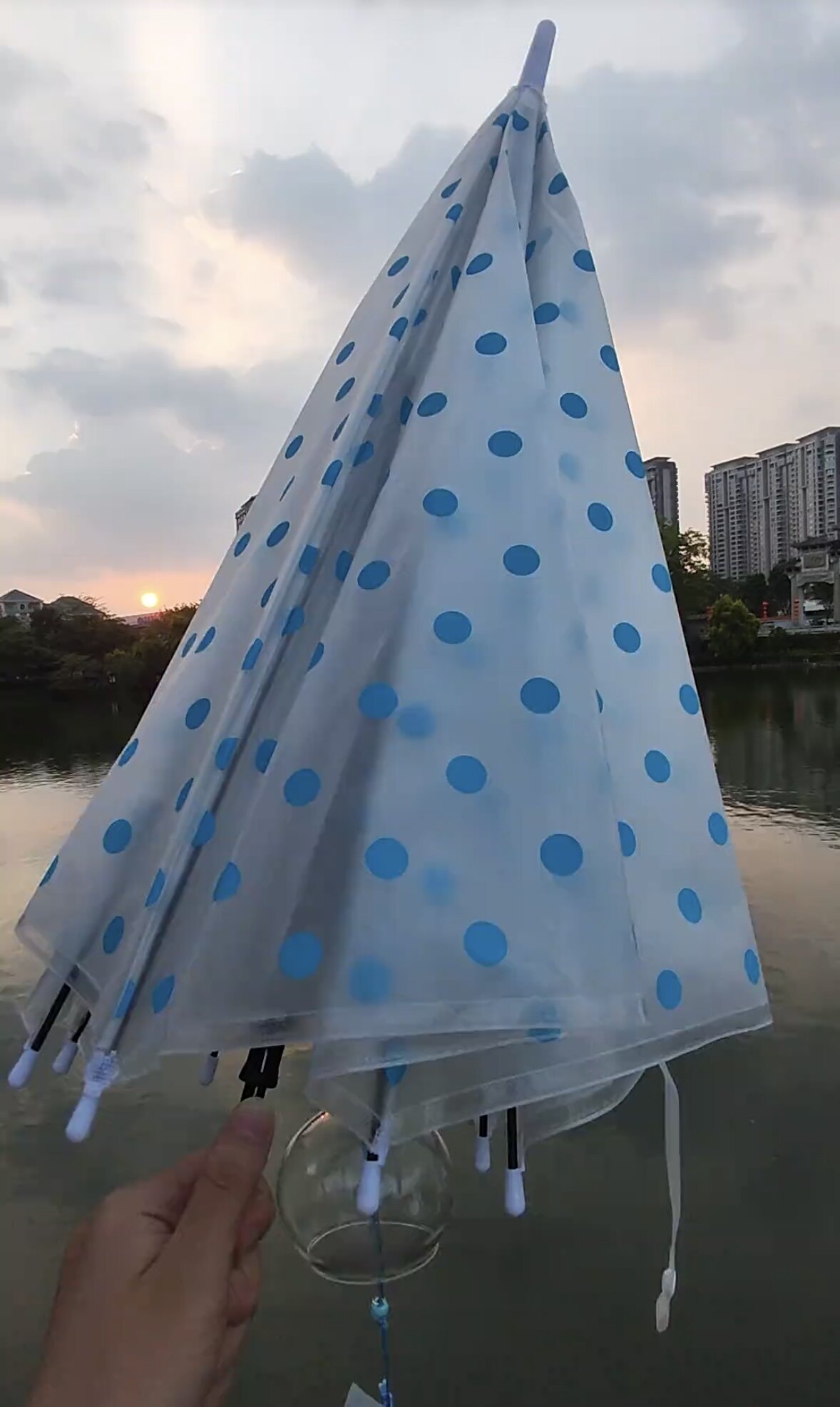 彩色圆点磨砂雨伞长柄糖果色自动点点学生精美塑料透明晴雨伞少女
