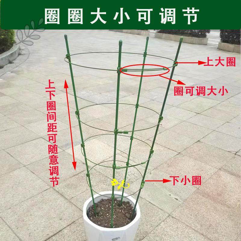 昙花专用支架爬藤花架月季蟹爪兰绿箩可伸缩阳台绿植攀爬花卉支架